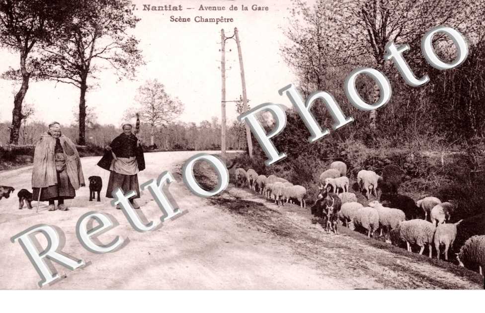 l'Avenue de la Gare, Scene Champetre