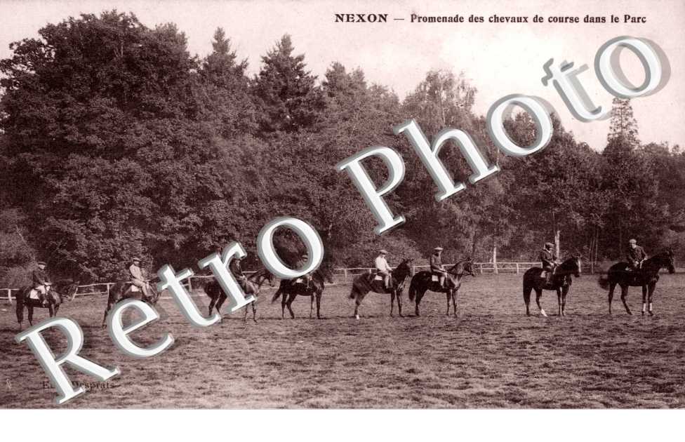Promenade des Chevaux de Course dans le Parc