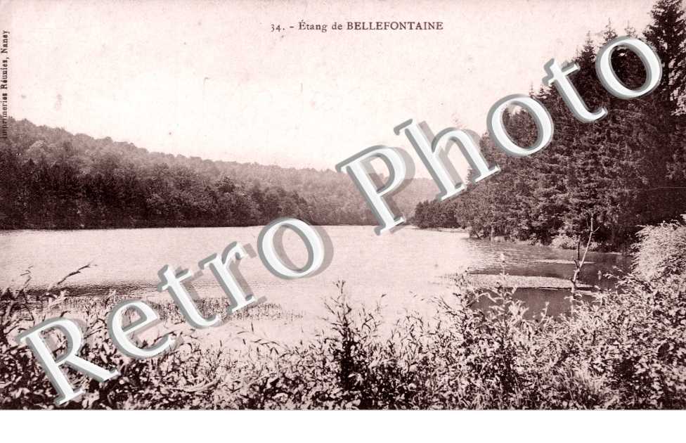 Etang de Bellefontaine