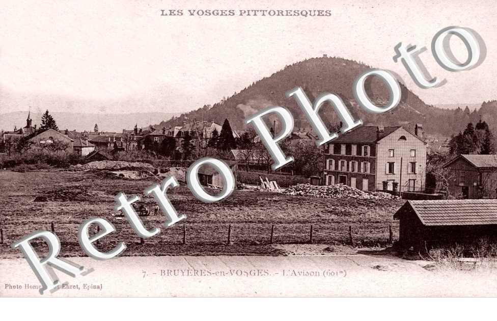 l'Avison