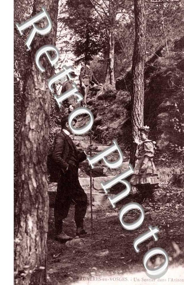 Un sentier dans l'Avison
