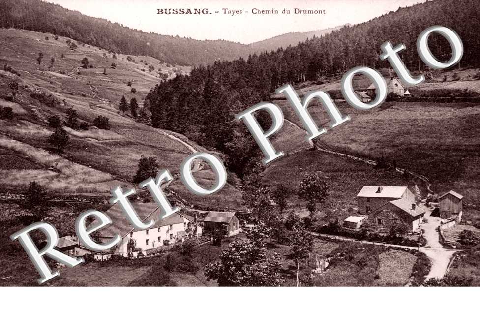 Tayes Chemin du Drumont