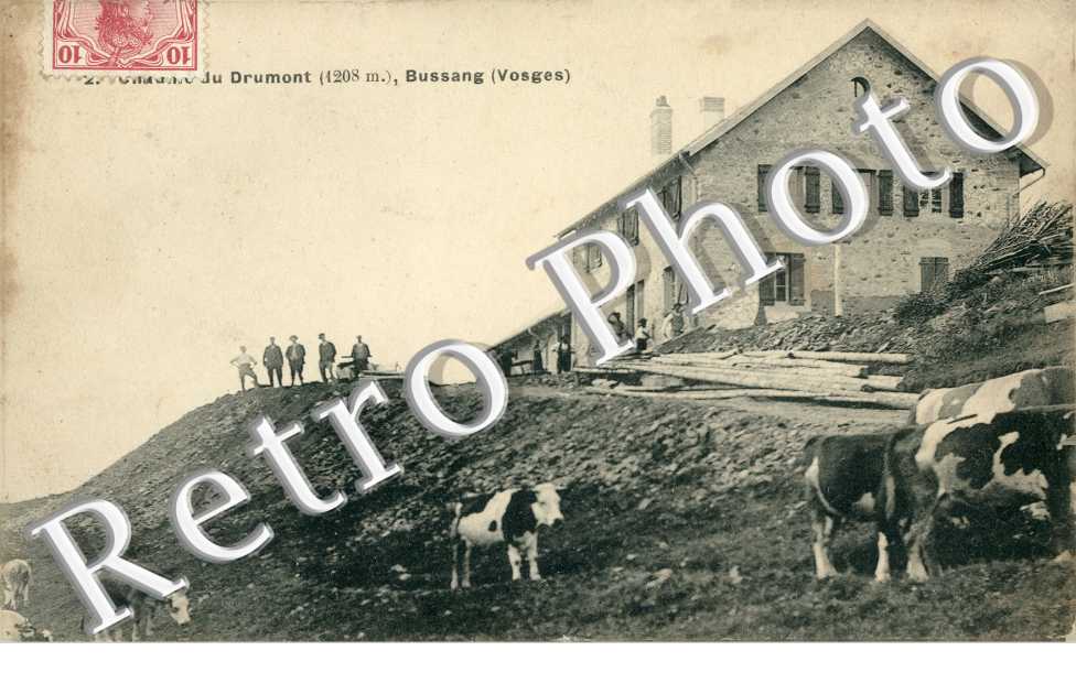 Drumont