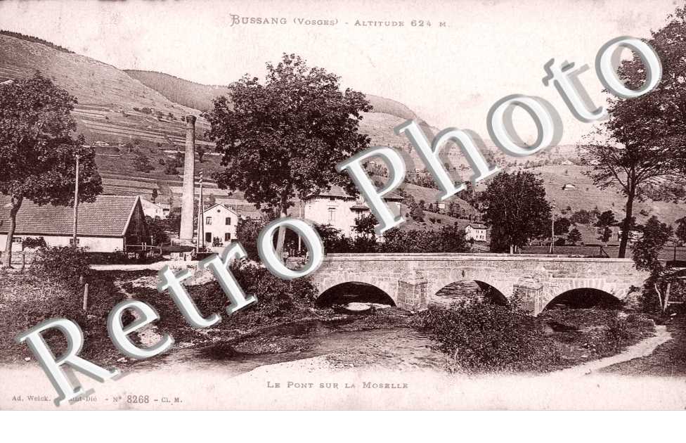 le Pont sur la Moselle