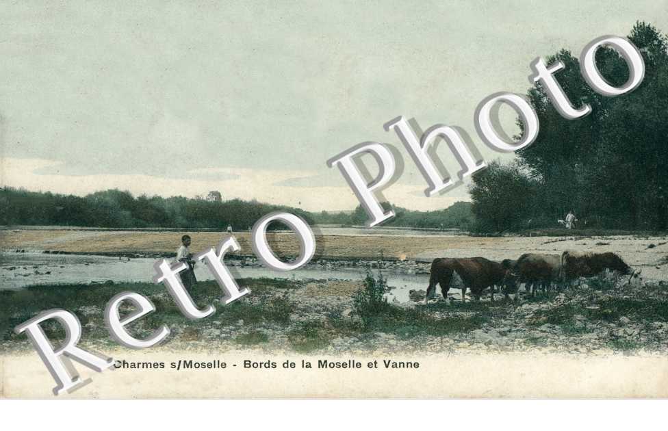 Bords de la Moselle et Vanne