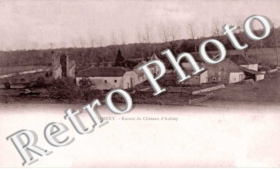Nomexy, les Ruines du Chateau d'Aubiey