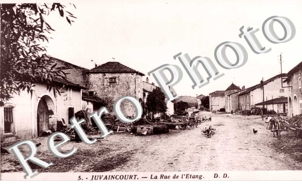 la rue de l'etang