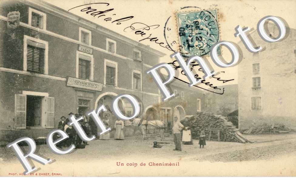 Un coin de chenimenil