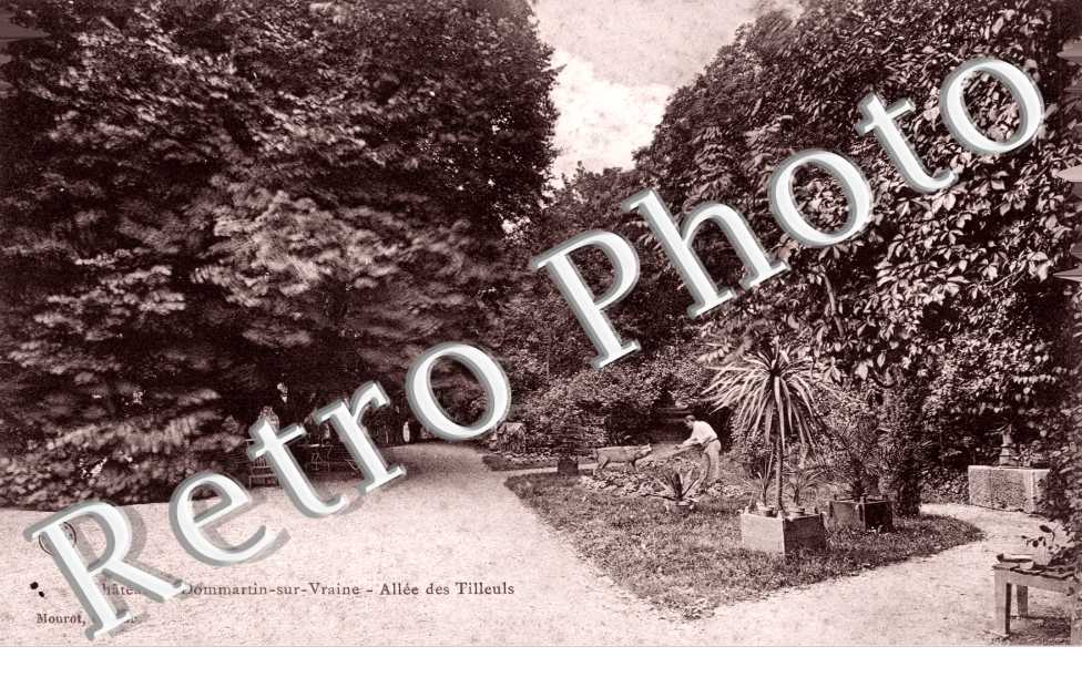 Allee des Tilleuls