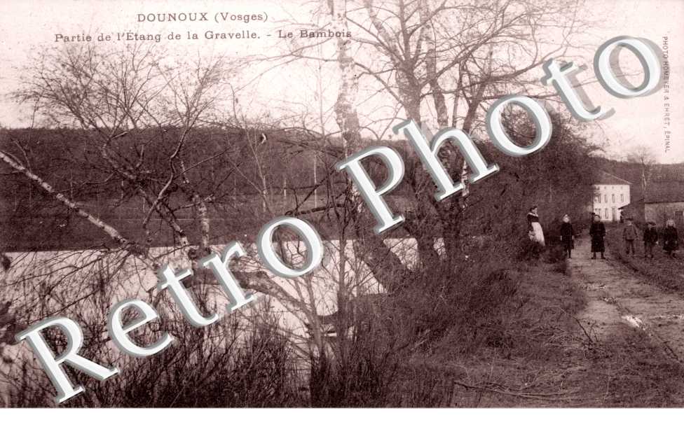 Etang de la Gravelle, Le Bambois