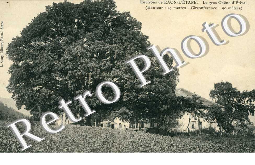 le Gros Chene d'Etival