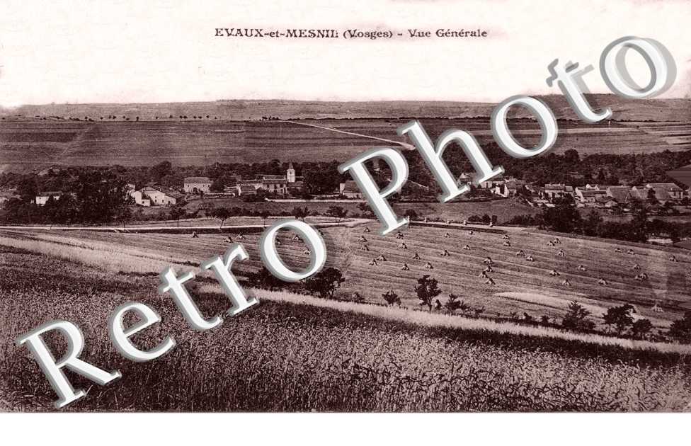 Vue generale