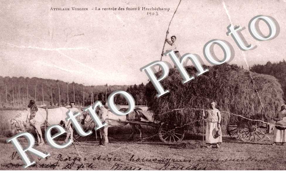 La Rentree des Foins