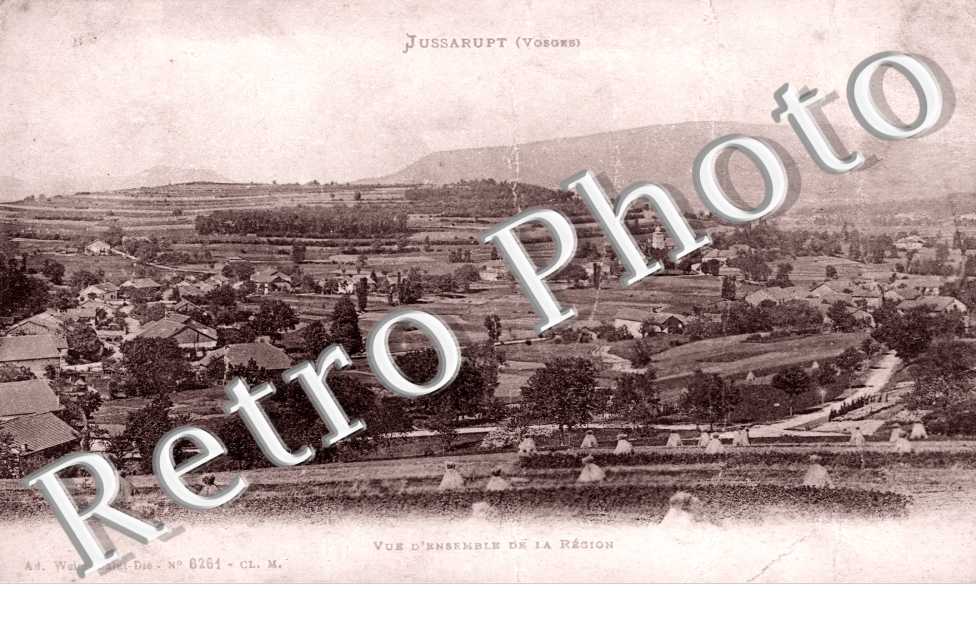 Vue generale