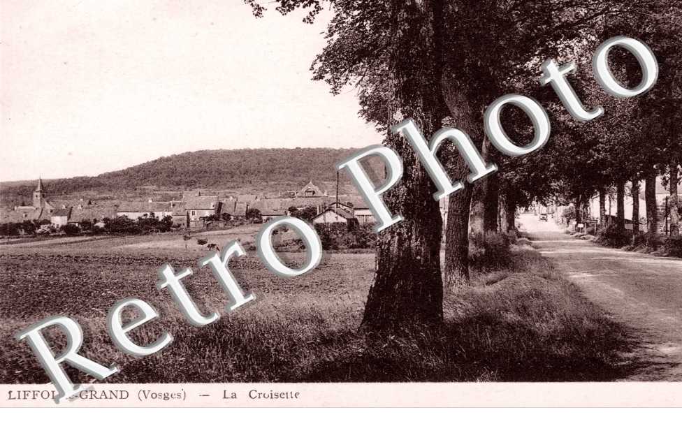 la Croisette