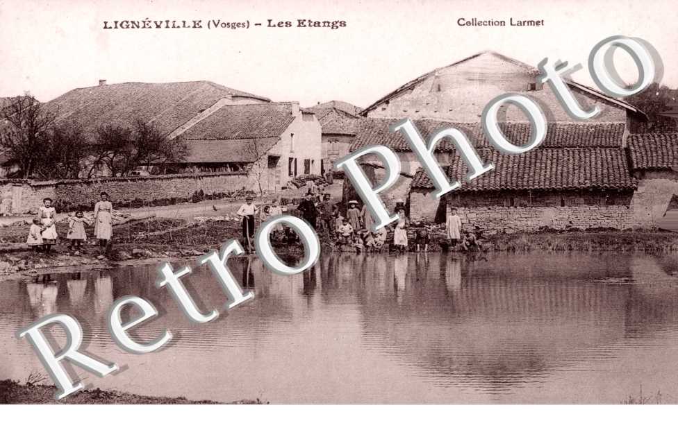 les etangs