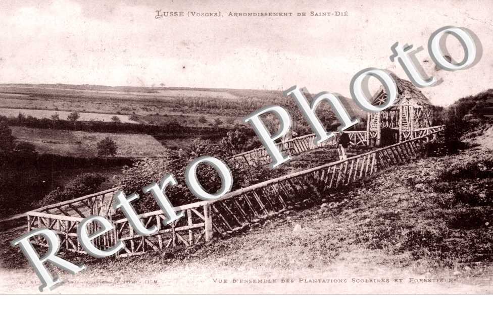 vue des plantations scolaires et forestieres