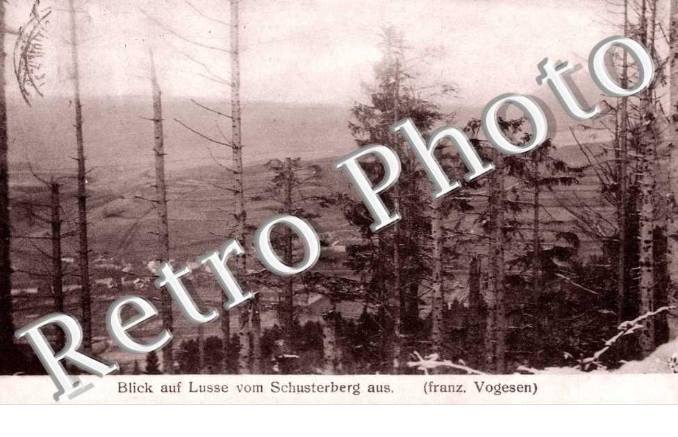 Blick auf Lusse vom Schusterberg aus.