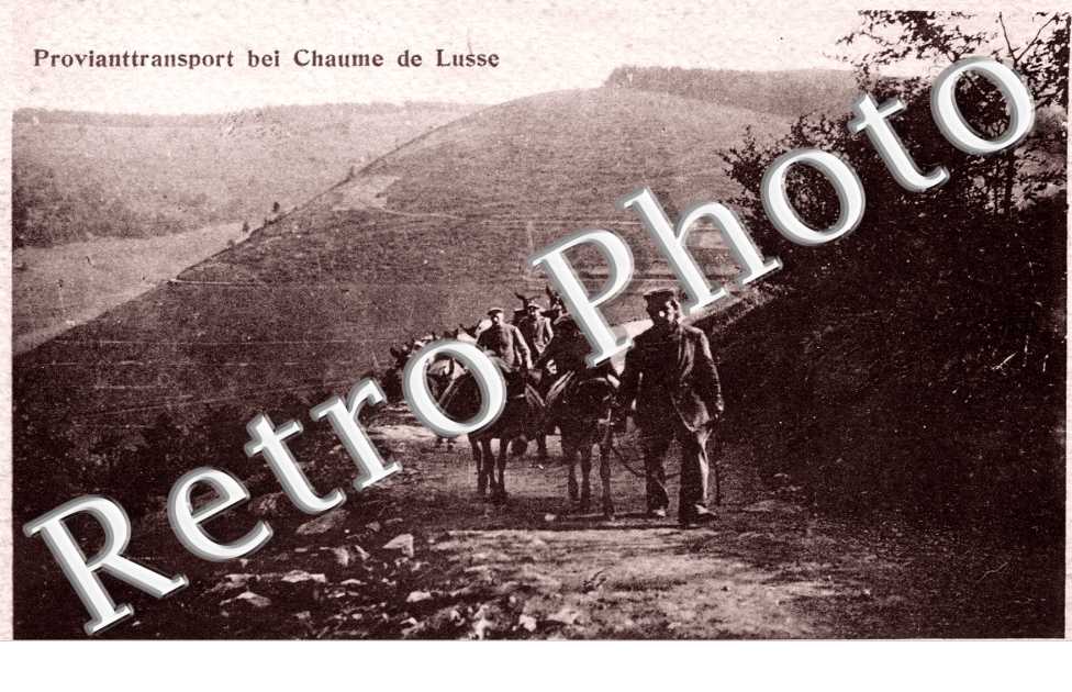 Provianttransport bei Chaume de Lusse  -  militaires allemands transportant sur des mules