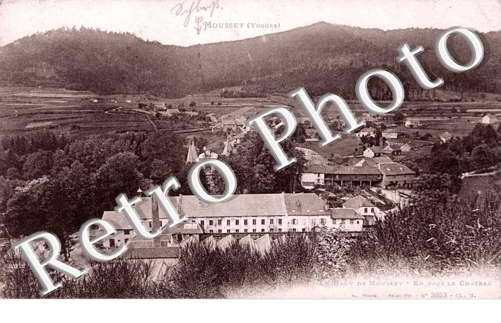le Haut de Moussey, le Chateau