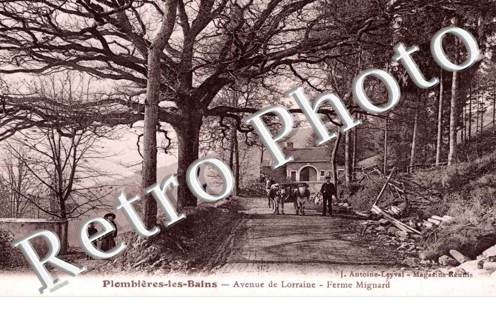 l'Avenue de la Lorraine, Ferme Mignard
