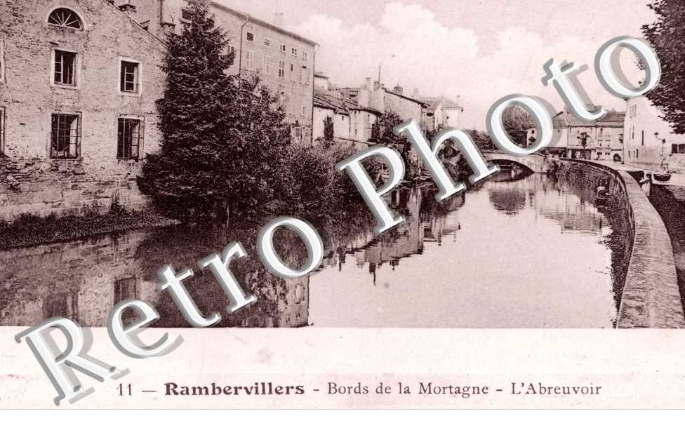 Bords de la Mortagne l'abreuvoir