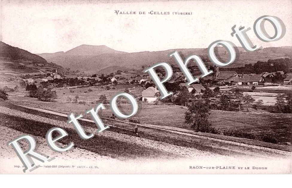 Vue generale et le Donon