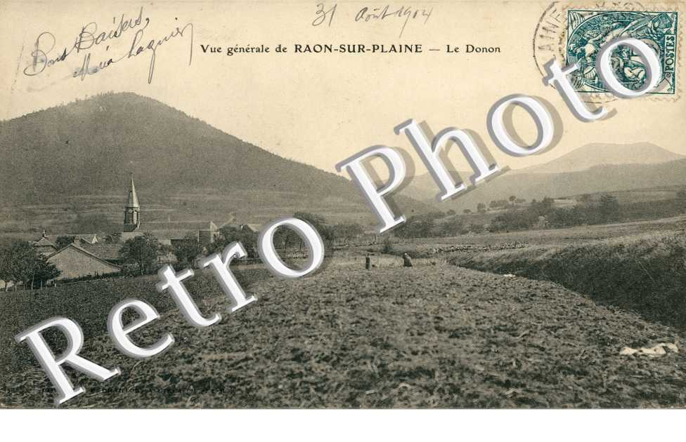 Vue generale et le Donon