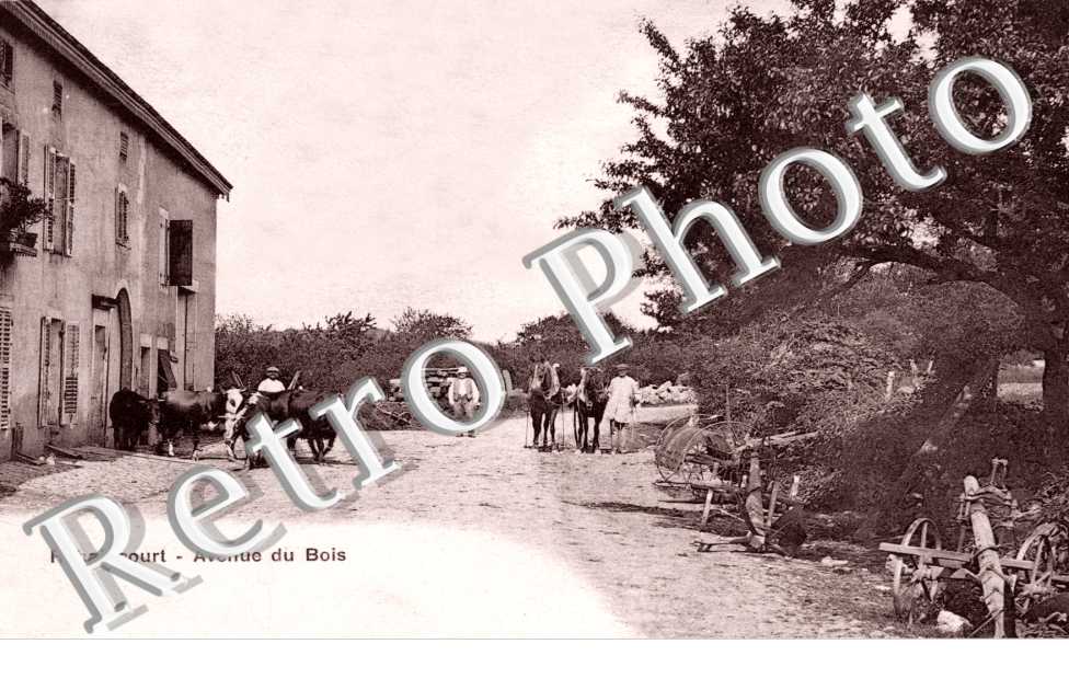 Avenue du bois