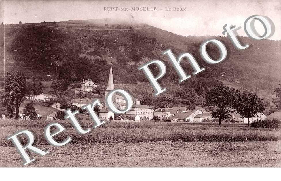 Le Belue