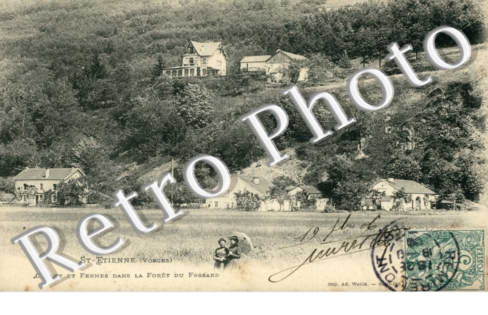 chalet et fermes dans la foret du fossard