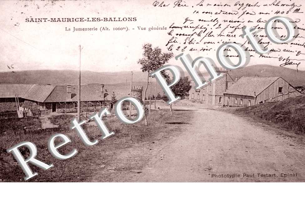 la jumenterie
