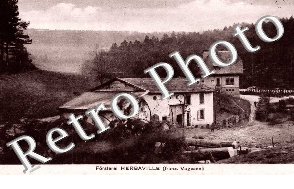 forsterei herbaville
