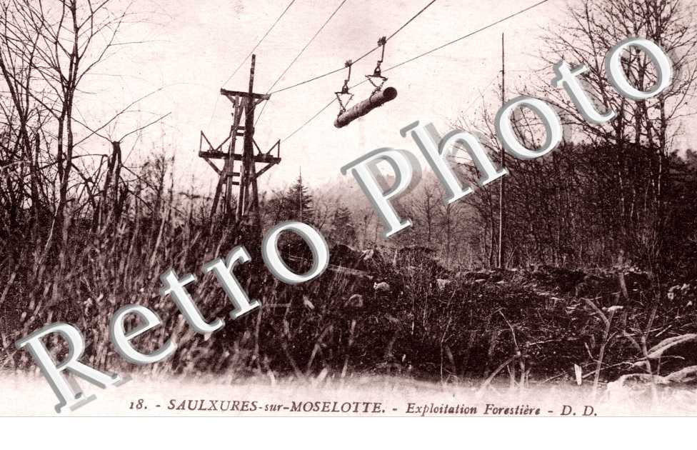 Exploitation forestiere