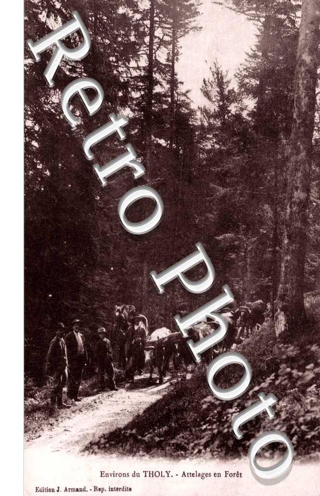 attelages en foret