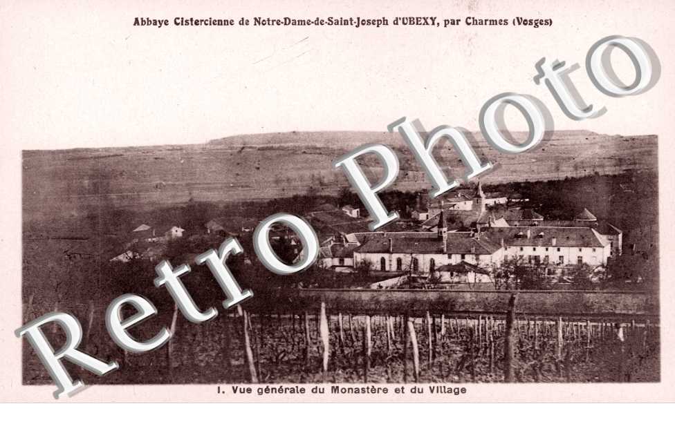 Vue generale  de mobastere et du village