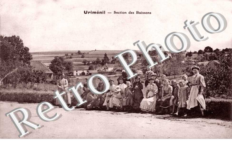 Section des buissons