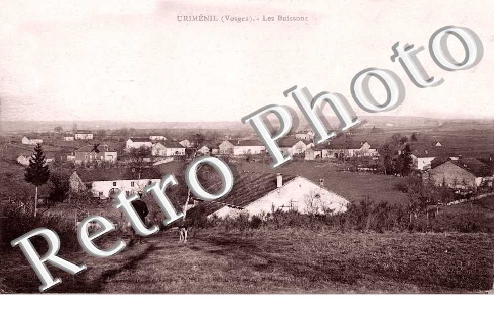 Les Buissons
