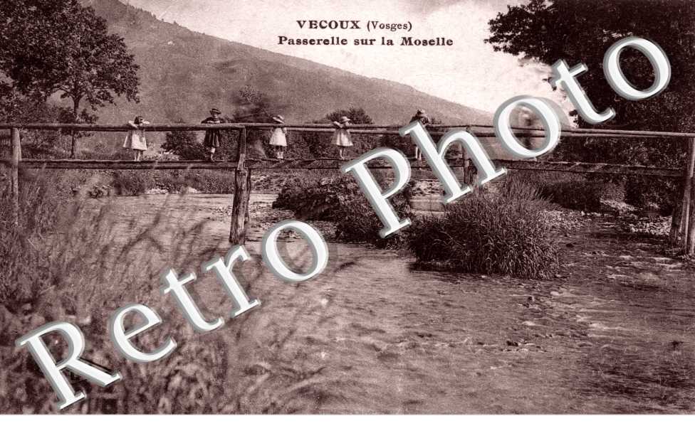 Passerelle sur la Moselle