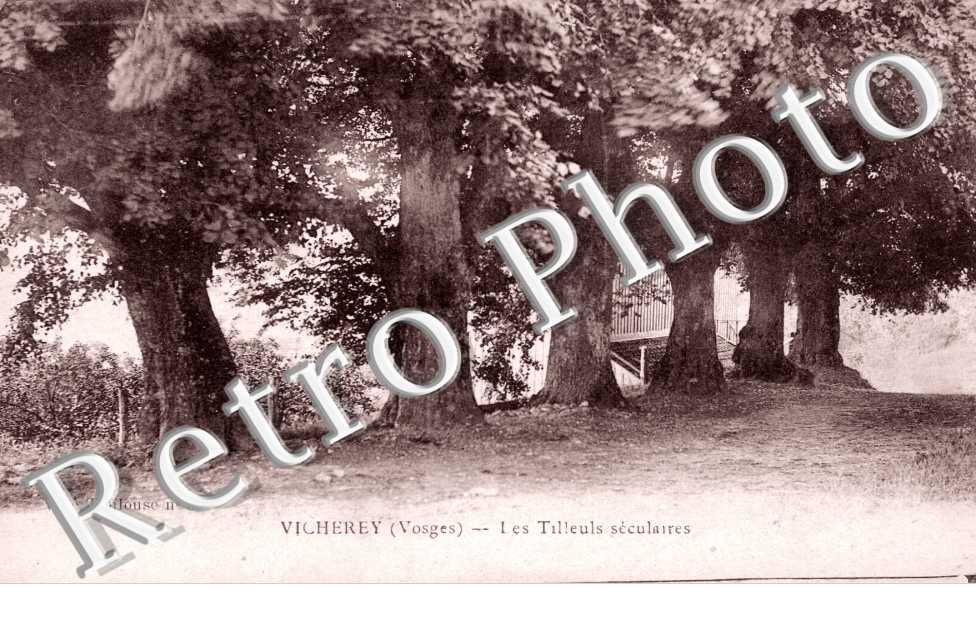 Les Tilleuls Seculaires