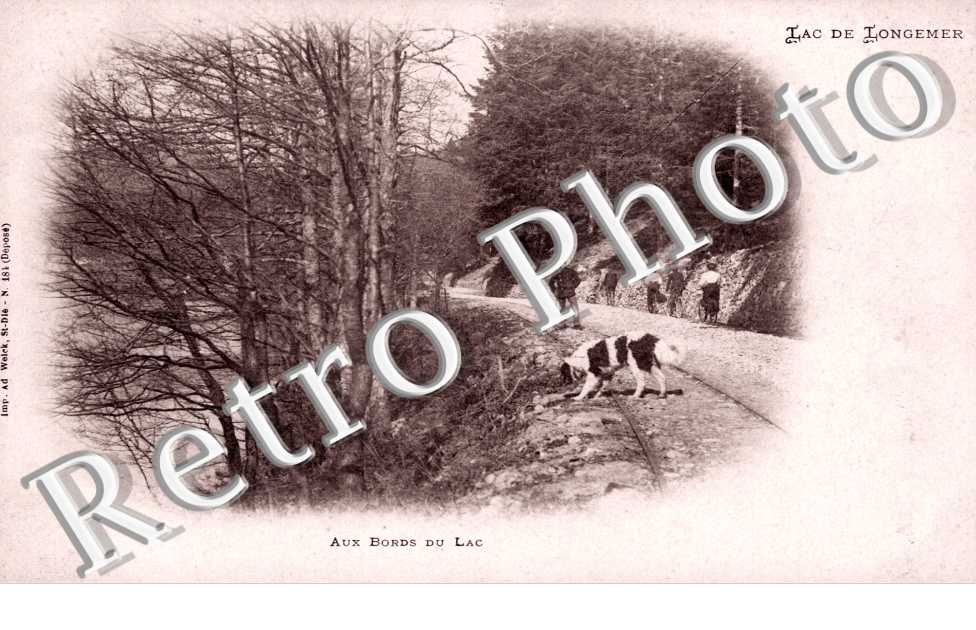 Aux Bords du Lac
