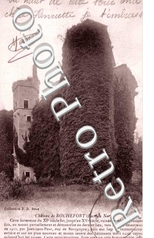 Le chateau de Rochefort