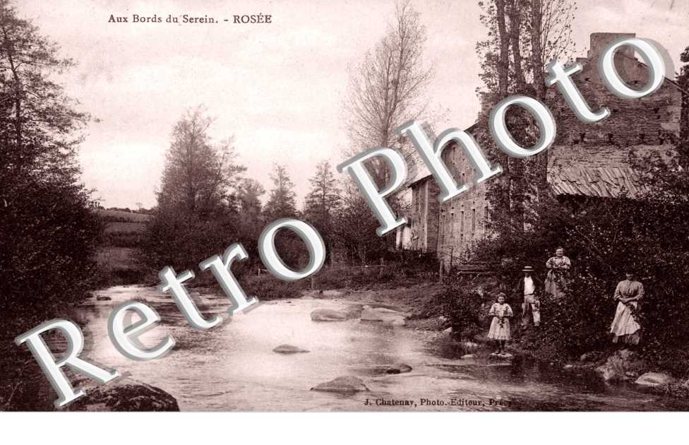 Aux Bords du Serein, Rosee