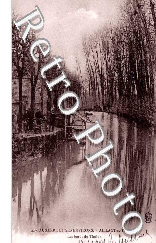 Les Bords du Tholon