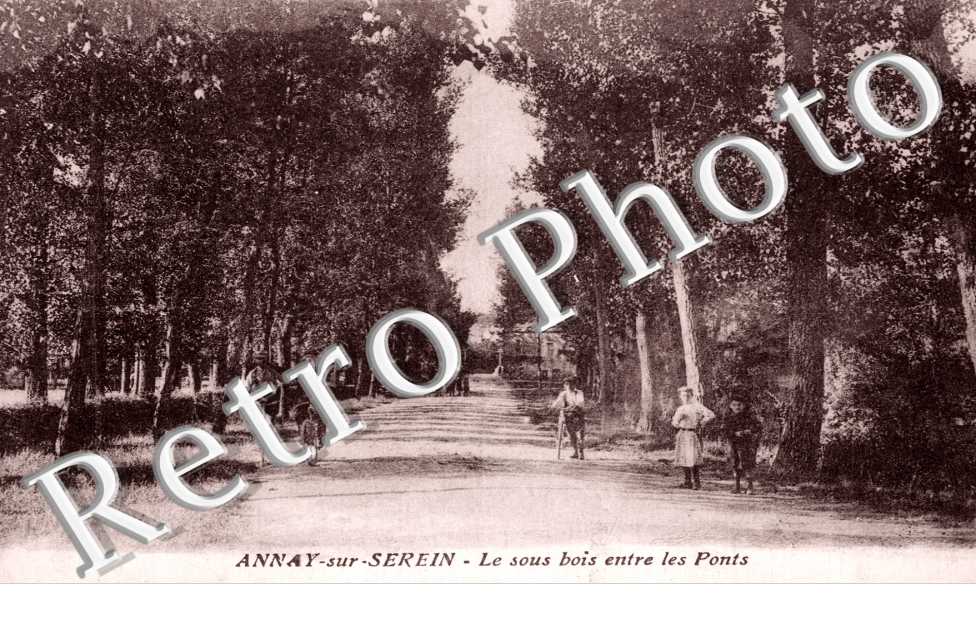 Le Sous Bois entre les Ponts