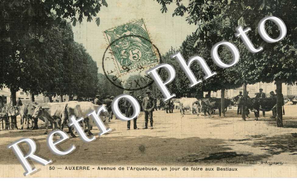 Avenue de l'Arquebuse un jour de foire aus Bestiaux