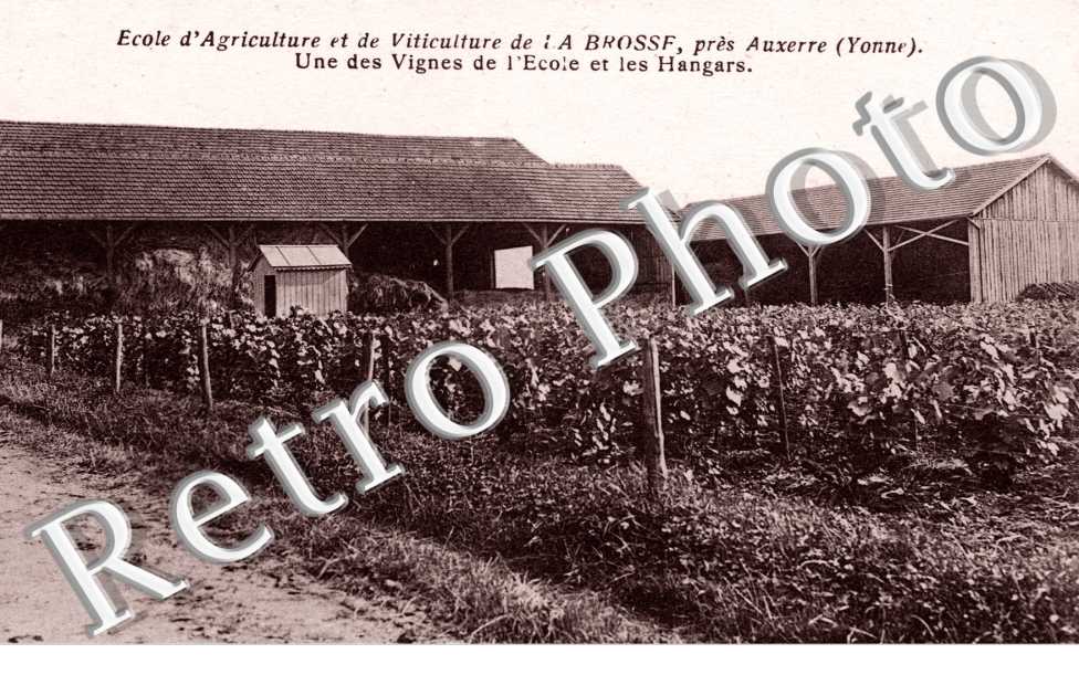 Ecole d'Agriculture et de Viticulture de La Brosse