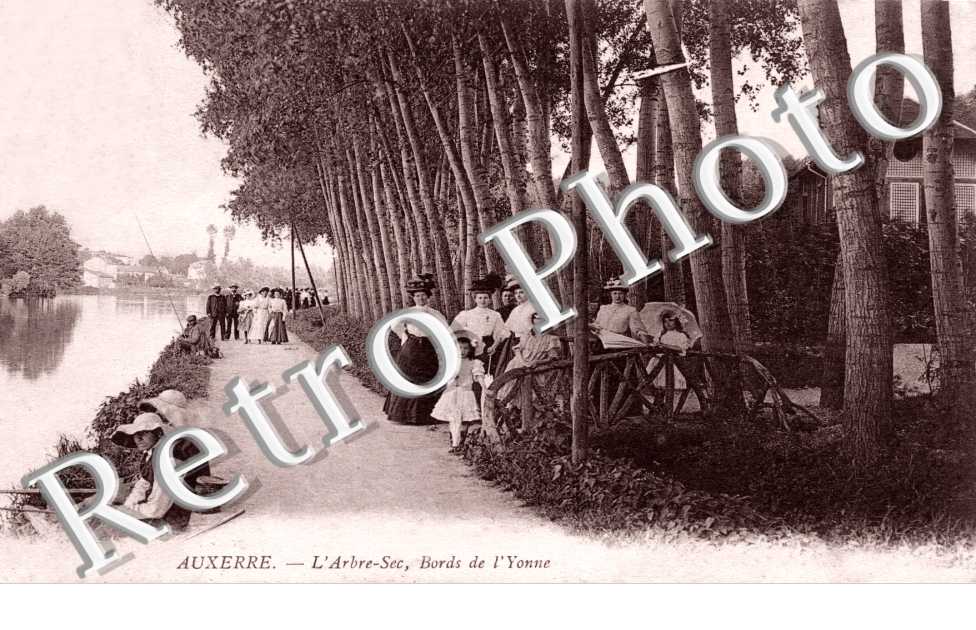 L'Arbre Sec Bords de l'Yonne