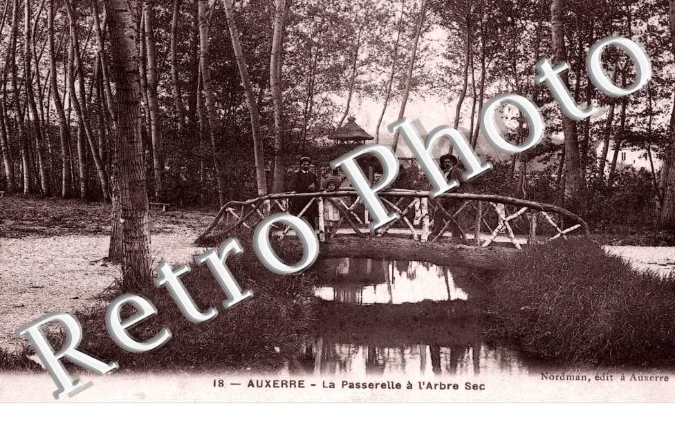 la passerelle a l'arbre sec