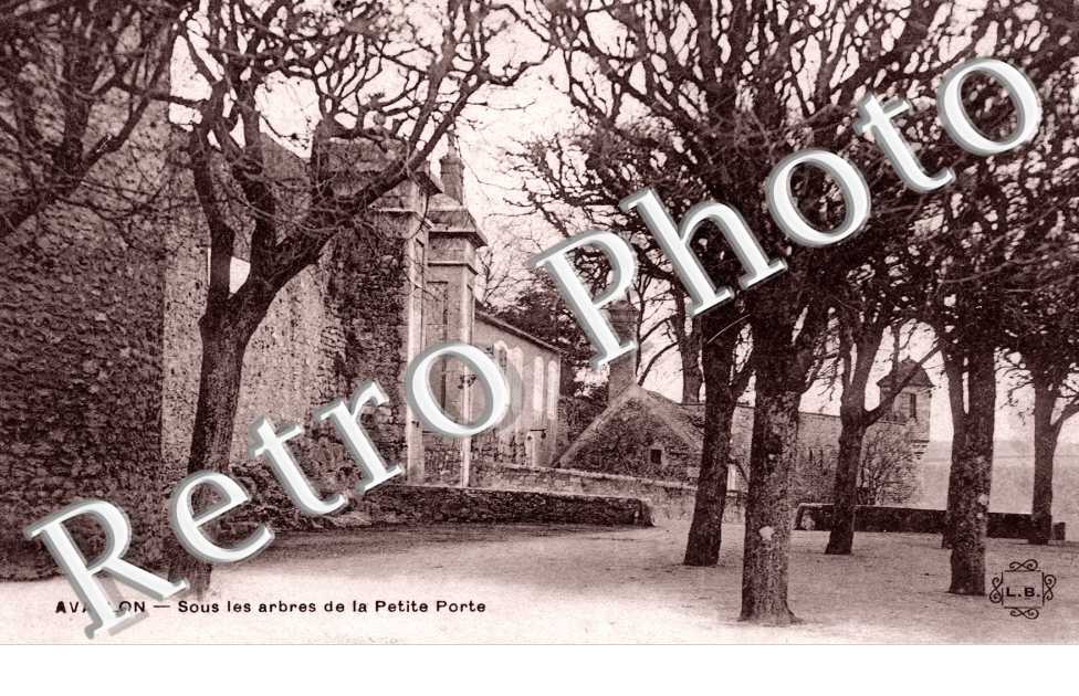 Sous les arbres de la petite porte